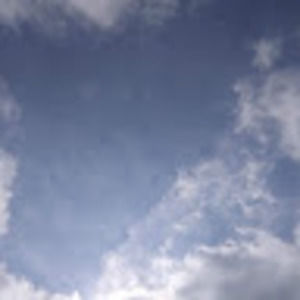 Meet your Posher, Annalise